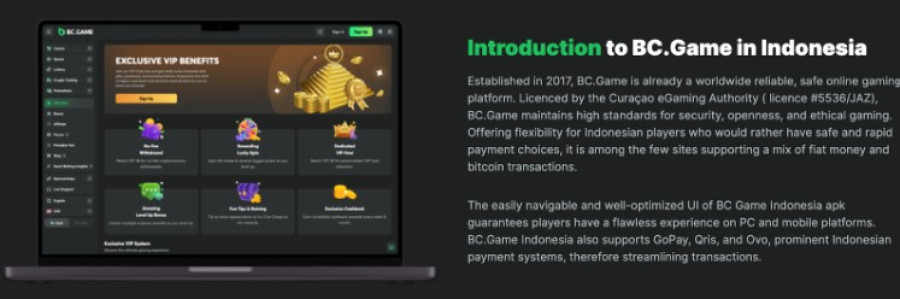 Explore the Future of Online Gaming with Bcgame Explore the Future of Online Gaming with Bcgame